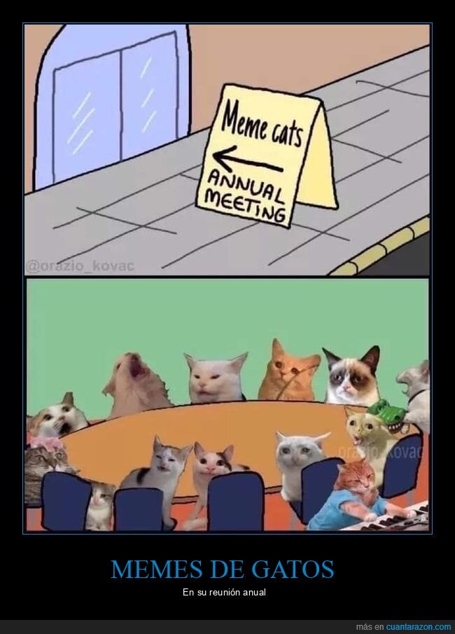 reunión,gatos,memes