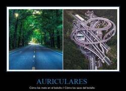Enlace a Siempre