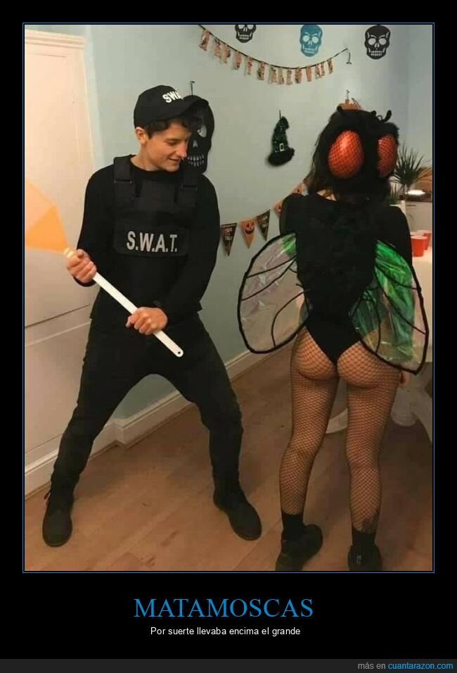 disfraz,mosca,matamoscas