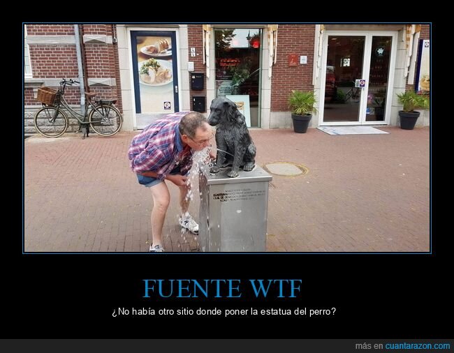 fuente,estatua,perro,wtf