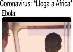 Enlace a El ébola no acepta competencia