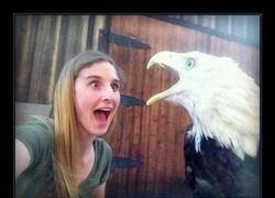 Enlace a Alegría contagiosa