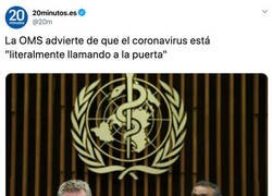 Enlace a Advertencia de la OMS