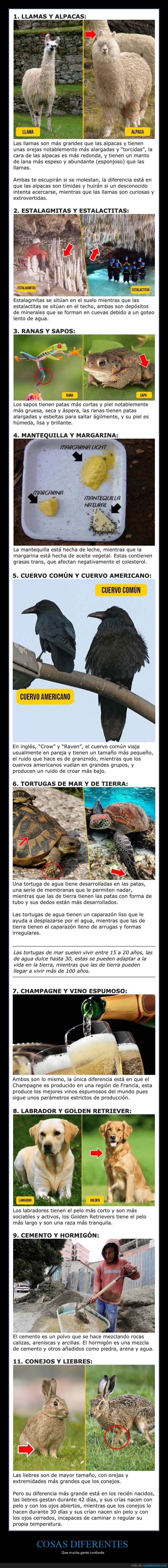 cosas diferentes,parecidas,confundir