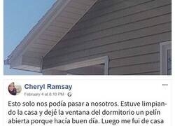 Enlace a La policía llamó a este hombre para informarle de que su husky estaba sentado en el tejado, proporcionando divertidas pruebas