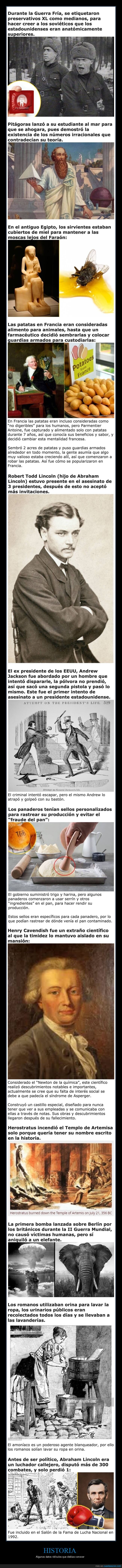 historia,datos rid&iacute;culos,curiosidades