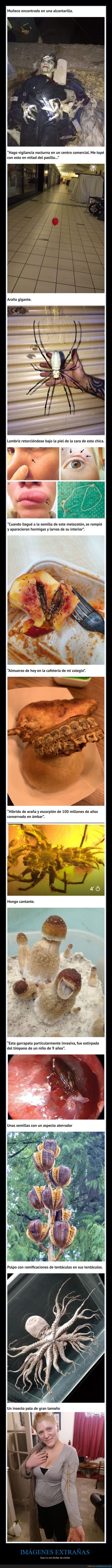 imágenes extrañas,wtf