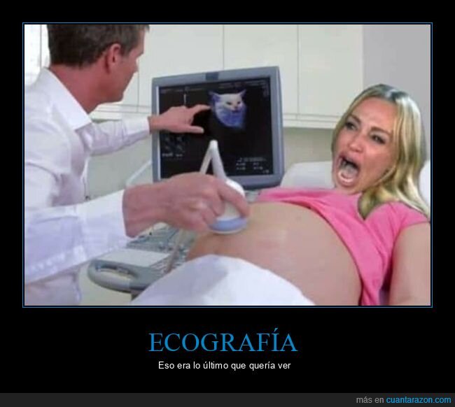 ecograf&iacute;a,gritando al gato