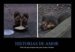 Enlace a Drama en dos actos