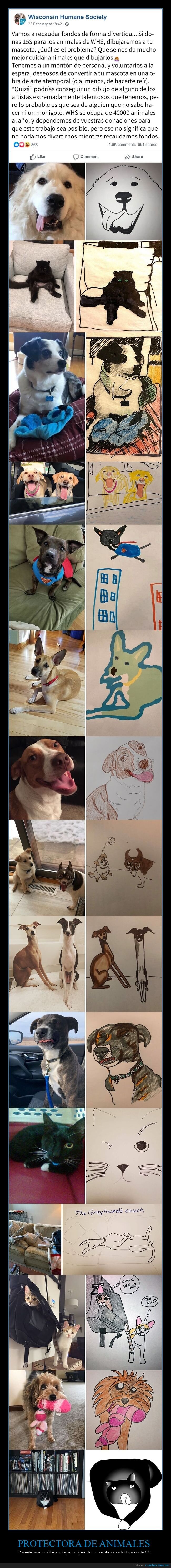 protectora,animales,dibujos,donaciones