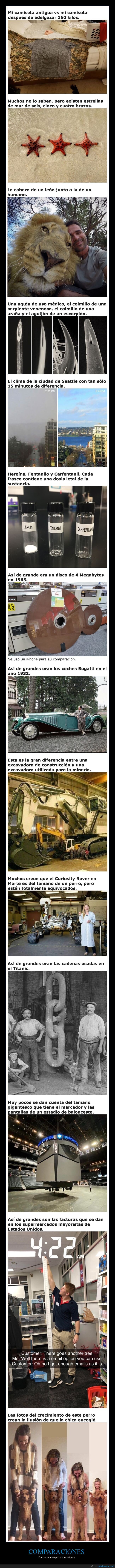 comparaciones,curiosidades