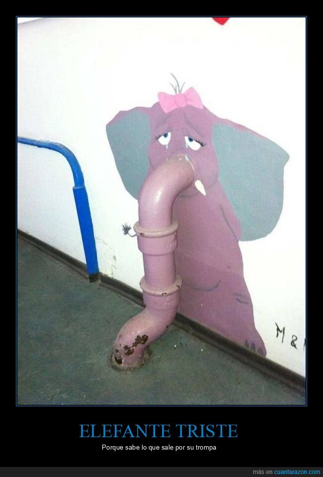 elefante,triste,tubería