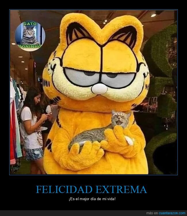 garfield,gato,feliz