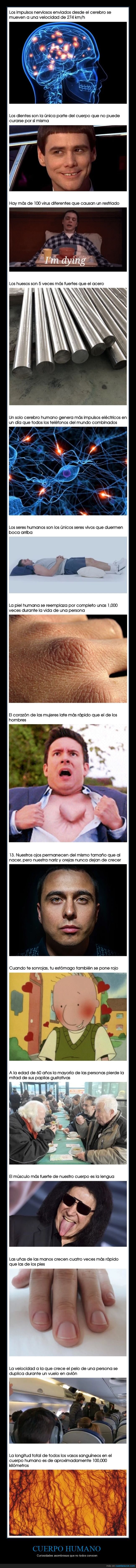 cuerpo humano,curiosidades