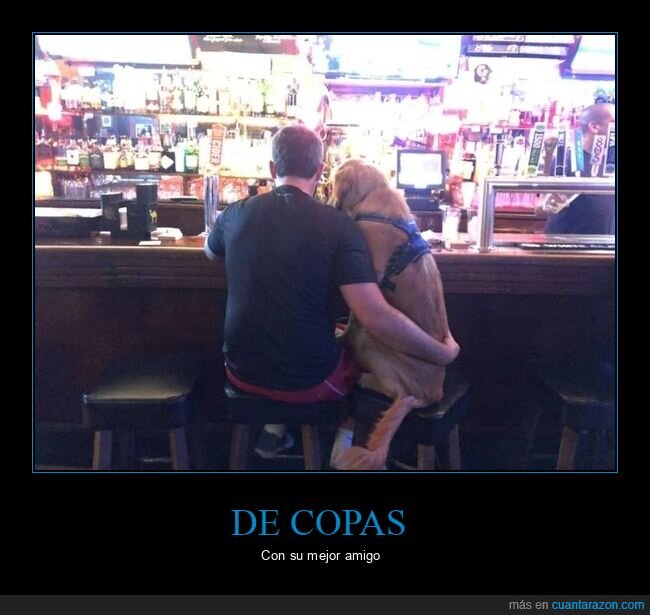 bar,perro,barra