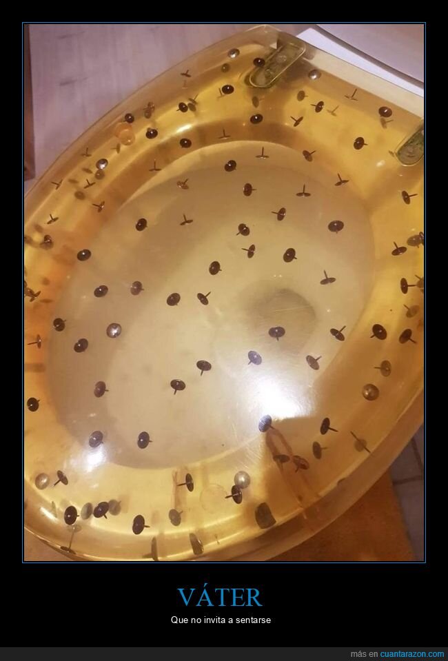 váter,chinchetas,wtf