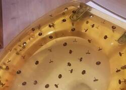 Enlace a Para confundir a las visitas