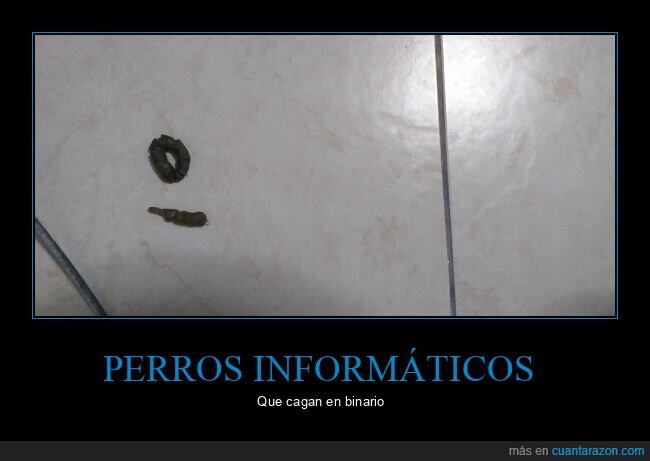 perro,cagada,binario,1,0