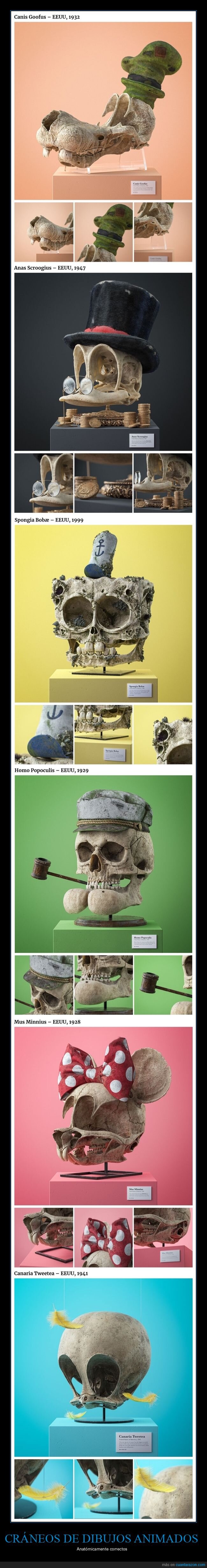 cráneos,personajes,dibujos animados