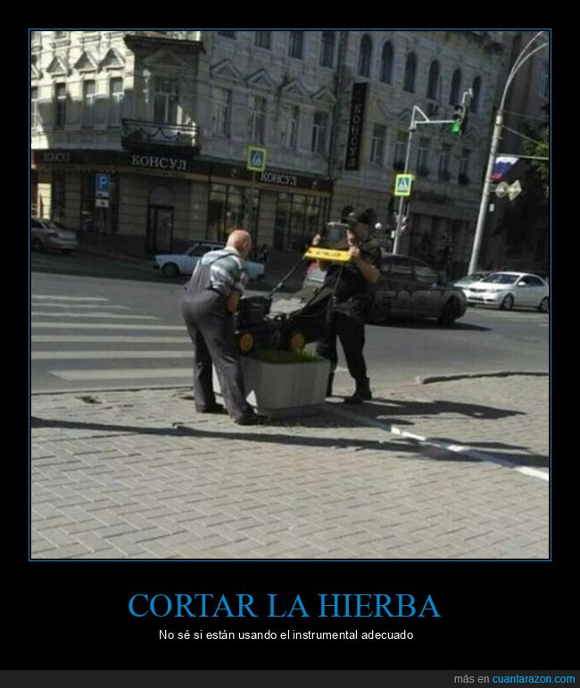 cortando,hierva,maceta,cortacésped,wtf