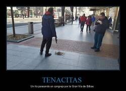 Enlace a Homenaje a Los Simpson
