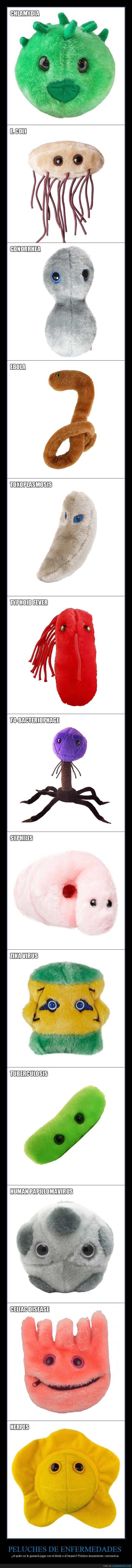 peluches,enfermedades