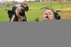 Enlace a Separadas al nacer