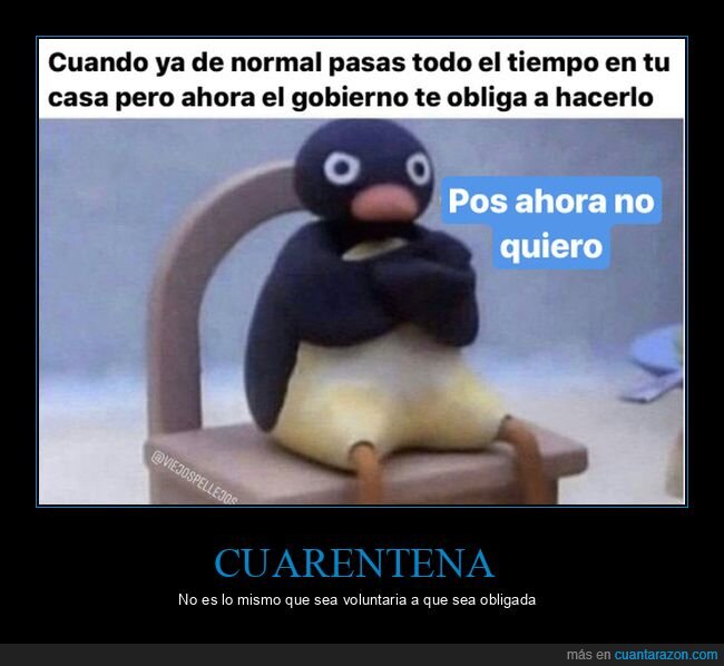 casa,cuarentena,gobierno,obligar,pingu