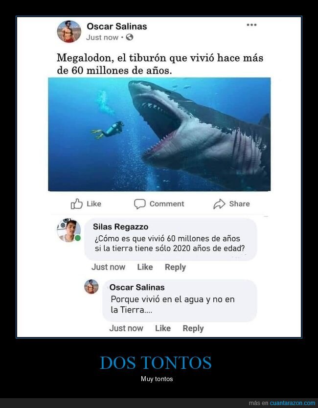 megalodón,tiburón,60 millones de años,2020,agua,tierra,monguer,monguers,facebook