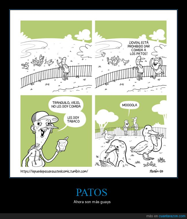 patos,comida,tabaco
