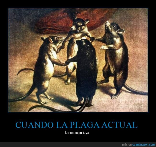 plaga,culpa,ratas,coronavirus