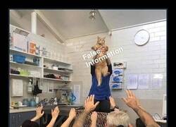 Enlace a Confía solo en las fuentes oficiales