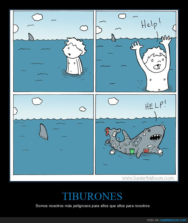 tiburón,ayuda,basura,mar