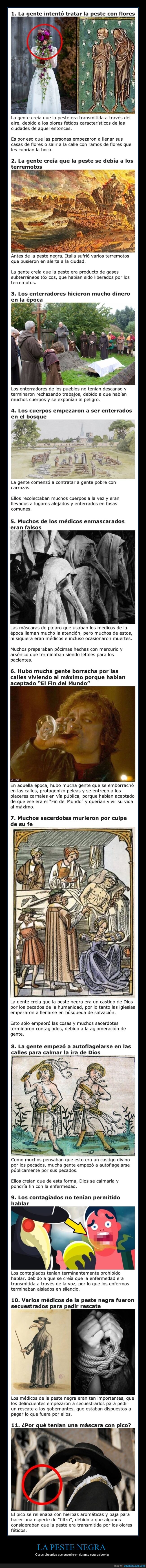 peste negra,epidemia,curiosidades