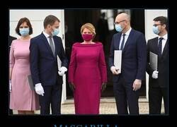 Enlace a Protegida pero elegante