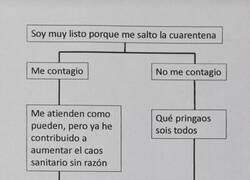 Enlace a Todo se entiende mejor con diagramas