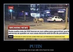 Enlace a En Rusia se han puesto serios