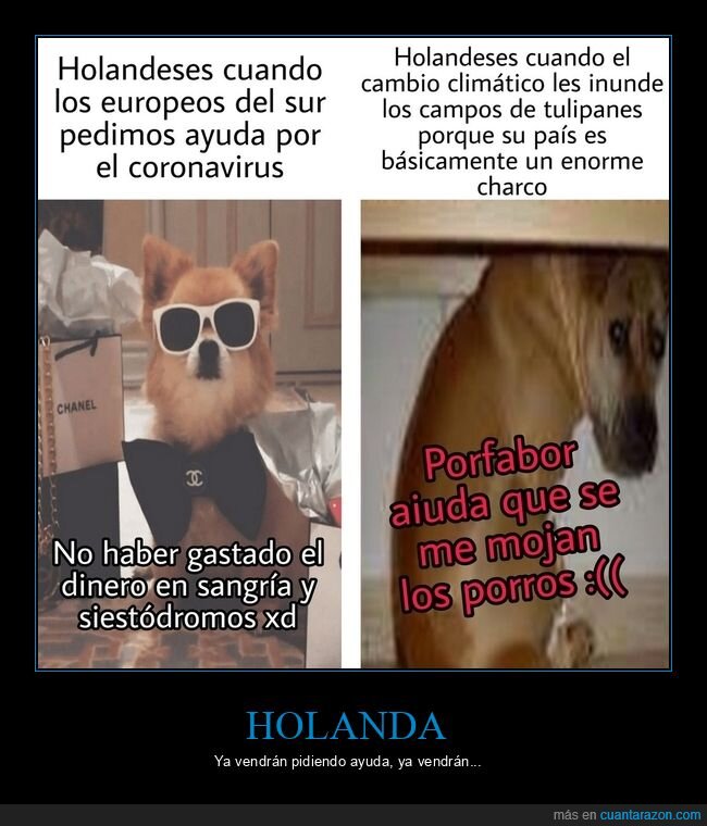 holanda,coronavirus
