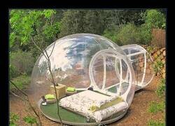 Enlace a Burbuja de aislamiento