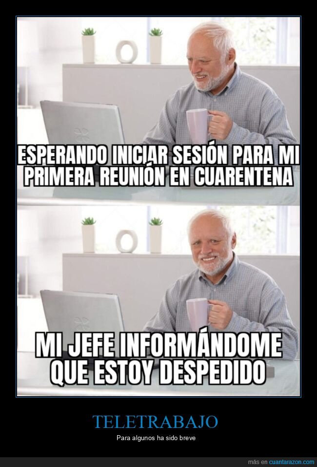 cuarentena,teletrabajo,hide the pain harold,jefe,despedido,coronavirus