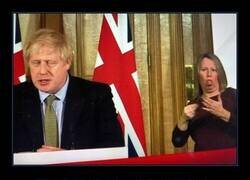 Enlace a Traducción literal