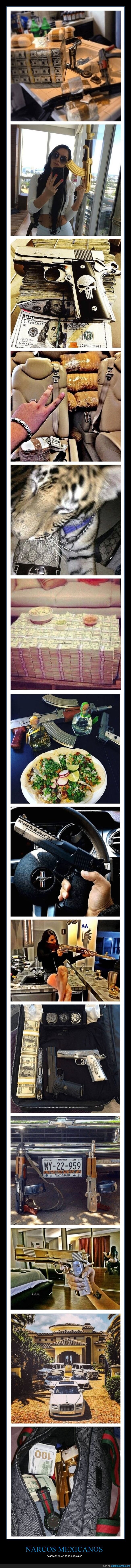 narcos,mexicanos,alardeando,redes sociales