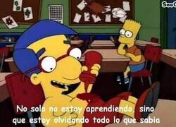 Enlace a El mejor curso de la historia