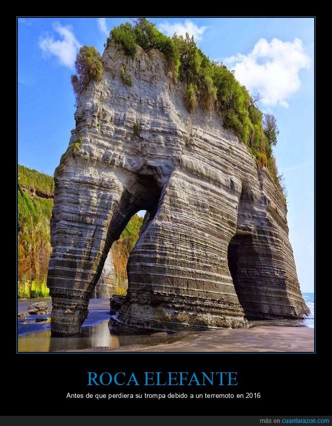 roca,elefante,trompa,terremoto,curiosidades
