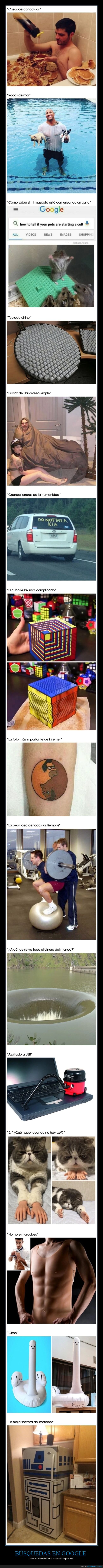 búsquedas,google,resultados,wtf