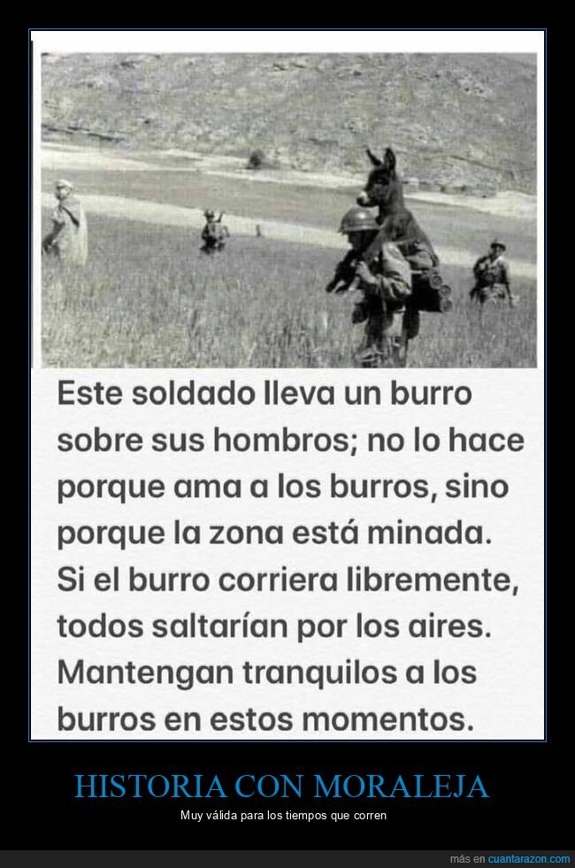 soldado,burro,minas,cuarentena,coronavirus