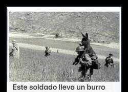 Enlace a A hombros con el burro