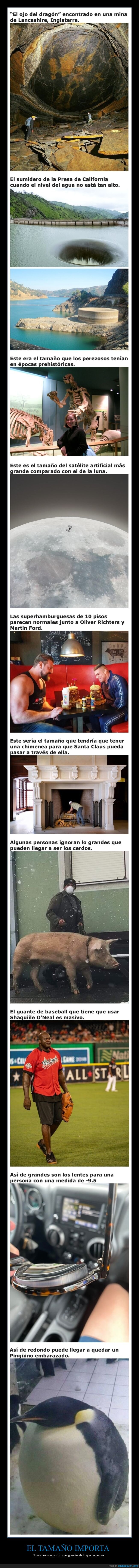 tamaño,grandes,curiosidades