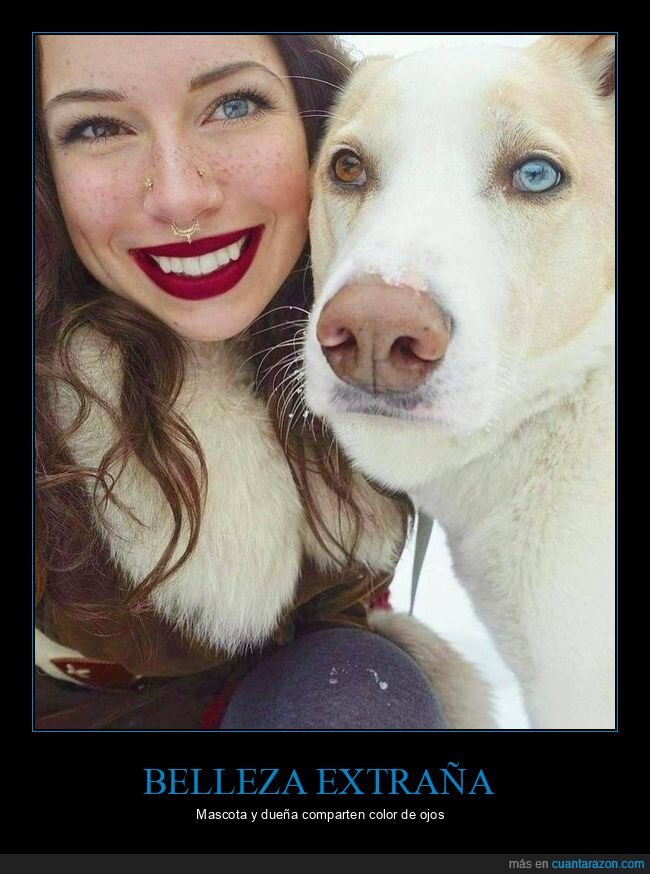 ojos,color,perro