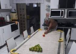 Enlace a Echa mucho de menos el bar...